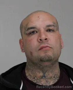 Recent Mugshot Image for BRANDON SEPEDA in Dallas County, Texas