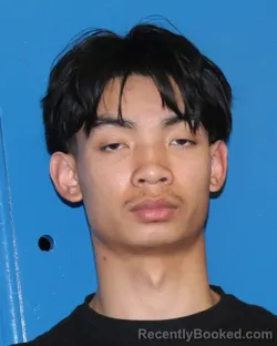 Recent Mugshot Image for ZHACKARY TAM NGUYEN in Eastland County, Texas