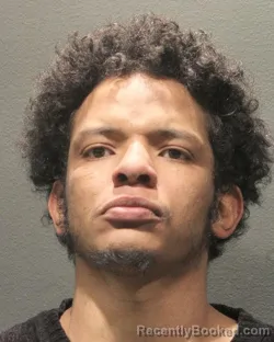 Recent Mugshot Image for RIHEMAN ELNOUR in Arlington County, Virginia