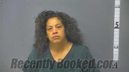 Recent Mugshot Image for JERRICA DAWN MILLER in Augusta County, Virginia