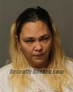 Recent Mugshot Image for APRIL LYNN IBARRA in Bland County, Virginia