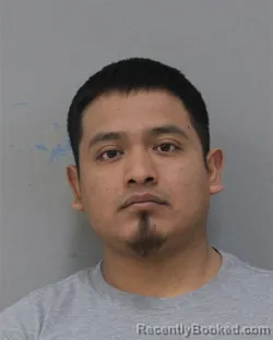 Recent Mugshot Image for NELSON DOMINGO-DOMINGO in Charles City County, Virginia