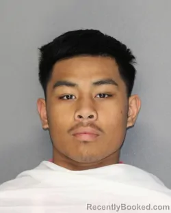 Recent Mugshot Image for JARED JAYBO DEITAS in Ellis County, Texas