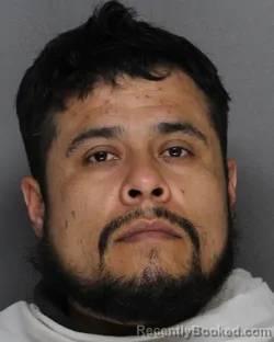 Recent Mugshot Image for JOSE ARNULFO CARDONA in Ellis County, Texas