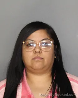 Recent Mugshot Image for AMANDA RIZO in Ellis County, Texas