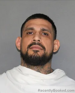Recent Mugshot Image for IVAN RUIZ in Ellis County, Texas