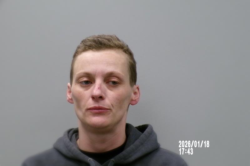 Recent Mugshot Image for Amanda Brooke Scott in Dickenson County, Virginia