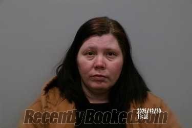 Recent Mugshot Image for Krista Hicks in Dickenson County, Virginia