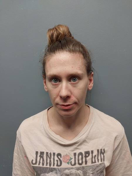 Recent Mugshot Image for KAYLEE BROOKE PARKS in Dickenson County, Virginia