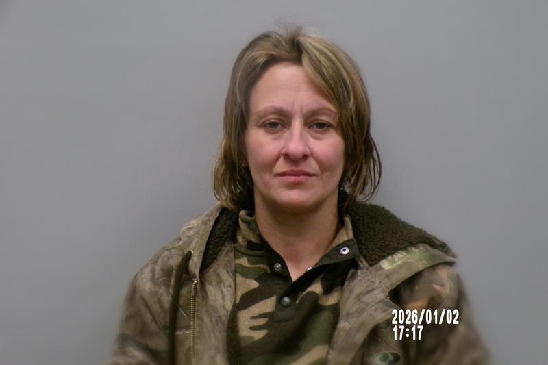 Recent Mugshot Image for Rachael Danielle Combs in Dickenson County, Virginia