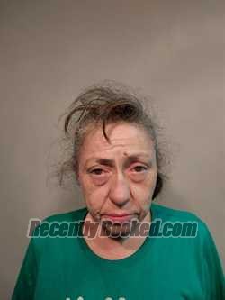 Recent Mugshot Image for Shannon Denise Bowen in Dickenson County, Virginia