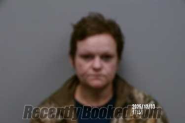 Recent Mugshot Image for TERRA MARIE Halsey in Dickenson County, Virginia
