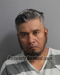 Recent Mugshot Image for RANGEL SALINAS-TEODORO in Erath County, Texas