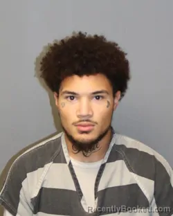 Recent Mugshot Image for ANTHONY BENJAMIIN DESMAR in Grayson County, Virginia