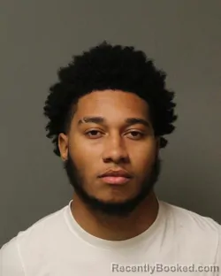 Recent Mugshot Image for JADEN ISAIAH BREEDLOVE in Grayson County, Virginia