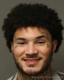 Recent Mugshot Image for ANTHONY BENJAMIIN DESMAR in Grayson County, Virginia