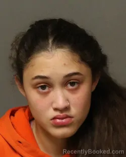 Recent Mugshot Image for AUTUMN DAWN FAYTHE GRAHAM in Grayson County, Virginia