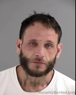 Recent Mugshot Image for DAVID RAY BROWN in Henrico County, Virginia