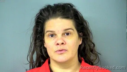 Recent Mugshot Image for ASHLEY KRISTEN LAKE in James City County, Virginia