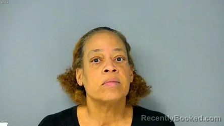 Recent Mugshot Image for KIMBERLY ANN OUTTEN in James City County, Virginia