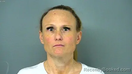 Recent Mugshot Image for SUSAN MICHELLE COFFMAN-NIVISON in James City County, Virginia