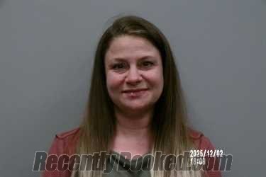 Recent Mugshot Image for Heather L Price in Russell County, Virginia