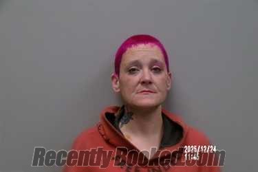 Recent Mugshot Image for Lakyn Renee Levitt in Russell County, Virginia