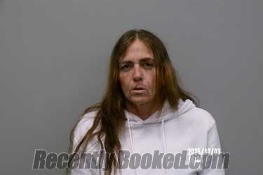 Recent Mugshot Image for Sabrina Anne Owens in Russell County, Virginia