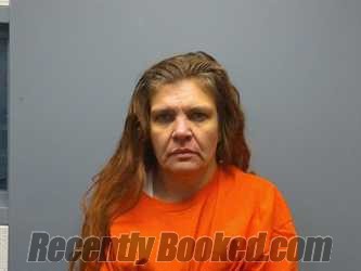 Recent Mugshot Image for SARAH BETH MEADOWS in Scott County, Virginia