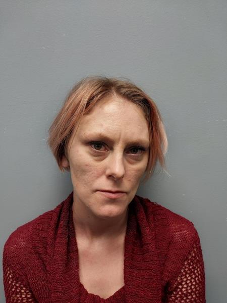 Recent Mugshot Image for CYNTHIA LYNETTE WARD in Washington County, Virginia