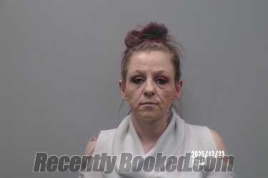 Recent Mugshot Image for Heather Lenore Kiser in Washington County, Virginia