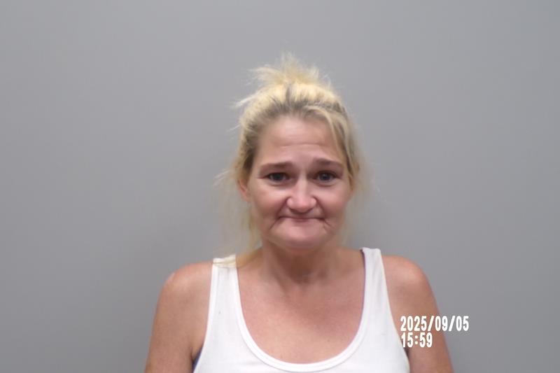 Recent Mugshot Image for Tabitha Lorraine Long in Washington County, Virginia