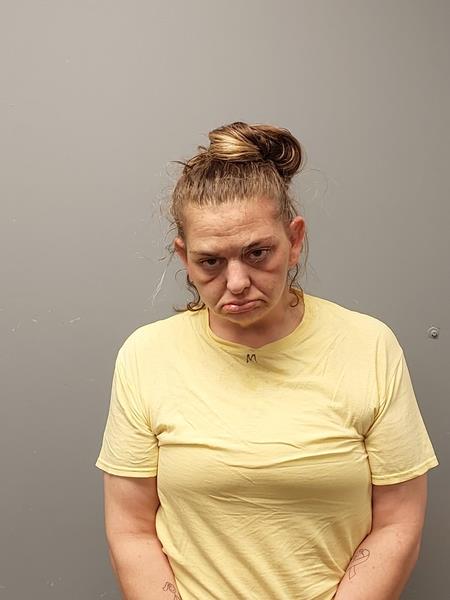 Recent Mugshot Image for TIMBERLI DARRENIA MCCOWAN in Washington County, Virginia