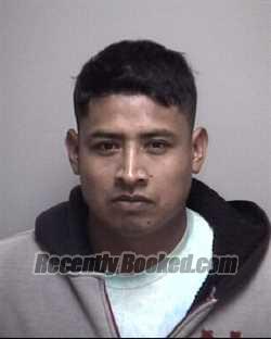 Recent Mugshot Image for JAMIE . COROY MEJIA in Galveston County, Texas