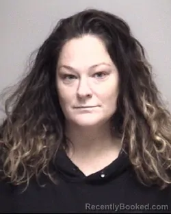 Recent Mugshot Image for CHRISTINA LISA HARBER in Galveston County, Texas