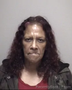 Recent Mugshot Image for MARIA ELENA VALENZUELA in Galveston County, Texas