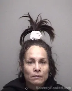 Recent Mugshot Image for VIRGINIA GRACE MAYS in Galveston County, Texas