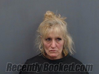 Recent Mugshot Image for JESSICA COX in Gregg County, Texas