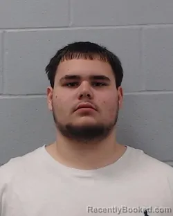 Recent Mugshot Image for Wesley Madrid in Hays County, Texas