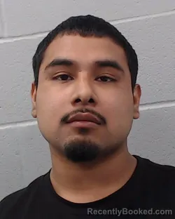 Recent Mugshot Image for Joel Manuel Martinez in Hays County, Texas