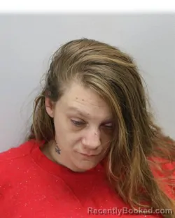 Recent Mugshot Image for CASSANDRA L DAVIS in Virginia Beach County, Virginia