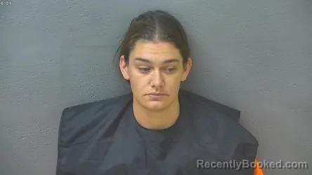 Recent Mugshot Image for ANGELICA MARIE BLEVINS in Lynchburg County, Virginia