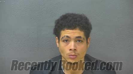 Recent Mugshot Image for ANAZ ANTHONY VAN FLEET in Lynchburg County, Virginia