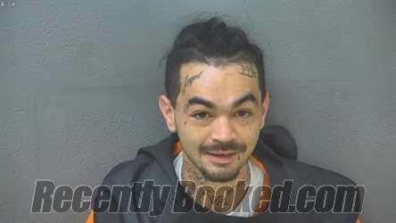 Recent Mugshot Image for NATHAN LEE REYNOLDS in Lynchburg County, Virginia