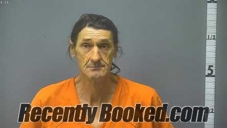 Recent Mugshot Image for TIHOMIR RADIC in Staunton County, Virginia