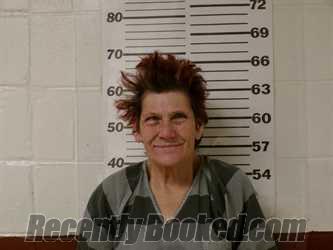 Recent Mugshot Image for CAROL LYNN KRETZMEIER in Henderson County, Texas