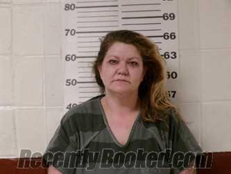 Recent Mugshot Image for SARAH LYNN STERLING in Henderson County, Texas
