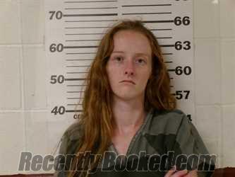 Recent Mugshot Image for SARAH SMITH in Henderson County, Texas