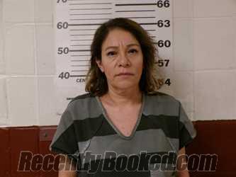Recent Mugshot Image for NORMA ANGELICA MONTENEGRO in Henderson County, Texas