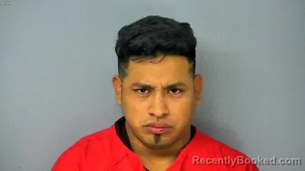 Recent Mugshot Image for AMILCAR VICENTE FELICIANO CRUZ in Williamsburg County, Virginia